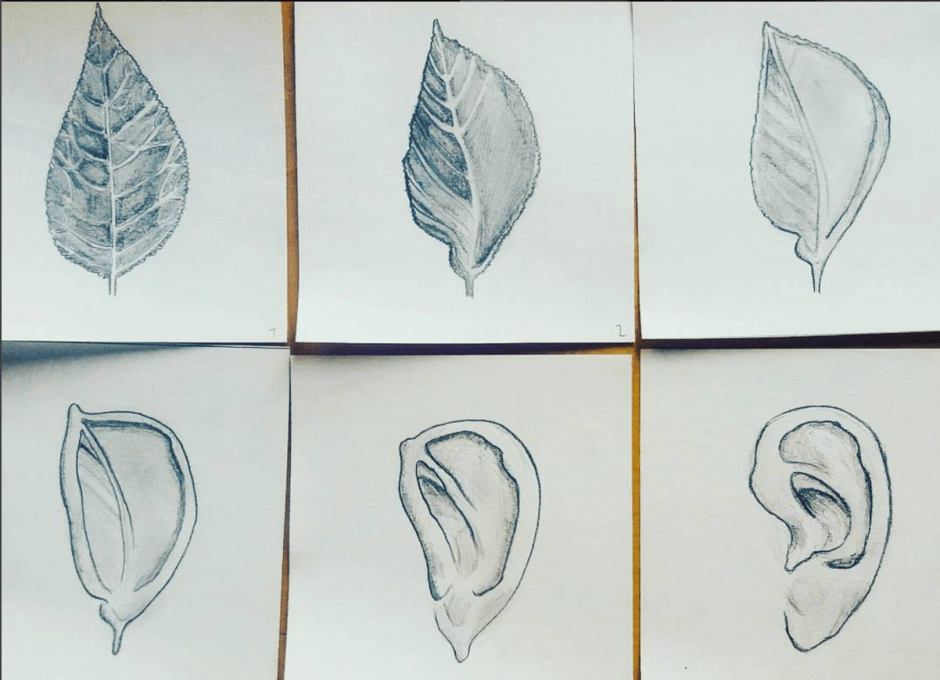 Schermata 2017-01-17 alle 19.53.03.png