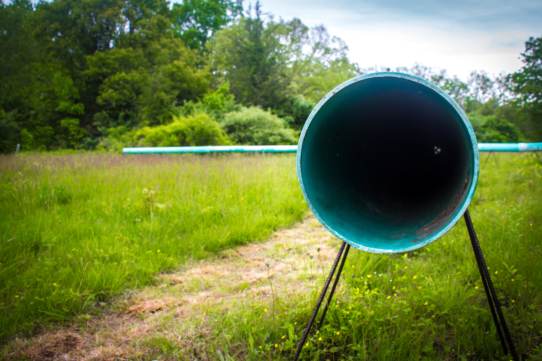 I-PARK BIENNALE-3.jpeg